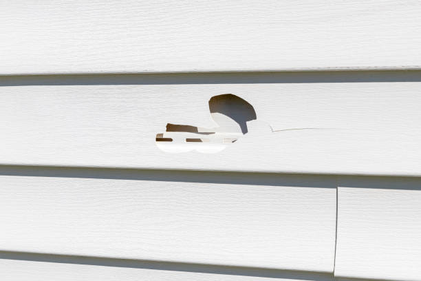 Best Siding Painting and Refinishing  in Cocoa Beach, FL