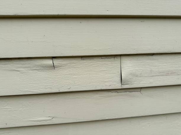 Best Engineered Wood Siding  in Cocoa Beach, FL