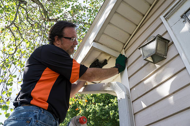 Best Historical Building Siding Restoration  in Cocoa Beach, FL